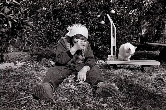 By Japanese photographer Miyoko Ihara. Photos are from her album "Misao the Big Mama and Fukumaru the Cat."