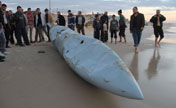 Suspected part of F-16 washed ashore near Rafah