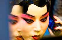 Peking Opera(Wang Yige)