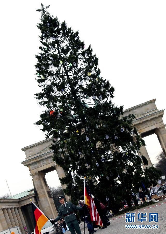 A large-sized Christmas tree is planted in front of Brandenburg Gate, Berlin, on Nov. 27, 2012. (Xinhua/Pan Xu)