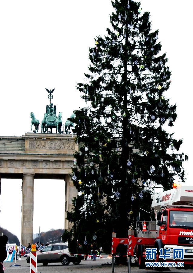 A large-sized Christmas tree is planted in front of Brandenburg Gate, Berlin, on Nov. 27, 2012. (Xinhua/Pan Xu)