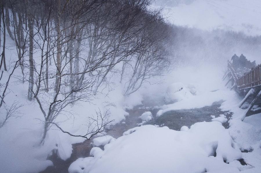 Photo taken on Nov. 28, 2012 shows the picturesque scene in Changbai Mountain in northeast China's Jilin Province. (Xinhua/Ma Caoran) 