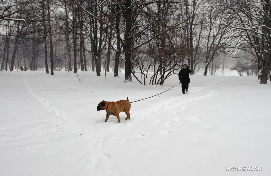 A man walks his dog at a park on a snowy day in Moscow, capital of Russia, on Nov. 29, 2012. A heaviest snow of the season hit Moscow Wednesday and snow on the ground has accumulated to about 20-cm deep Thursday. (Xinhua/Jiang Kehong)
