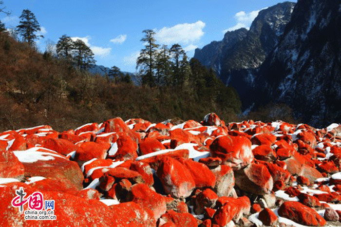 The photo shows the unique spectacle of red stones in the Hailuo Valley, at the foot of the Gongga snow-topped peak, which situates on the eastern hillside of Gongga Mountain at the eastern edge of the Qinghai-Tibetan Plateau. The red material on the stones is a kind of primitive algae. The valley is known as the "No.1 red stone rapid in the world". (China.org.cn)