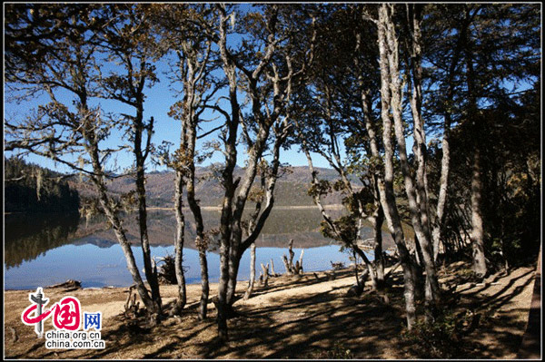 Located 22km east of Shangri-La, Yunnan Province, the Potatso National Park is known for its highland lakes and pristine forests. Bitahai Lake and Shuduhu Lake are two major parts of the park. It also features forest, marsh, valley and alpine meadow. (China.org.cn)