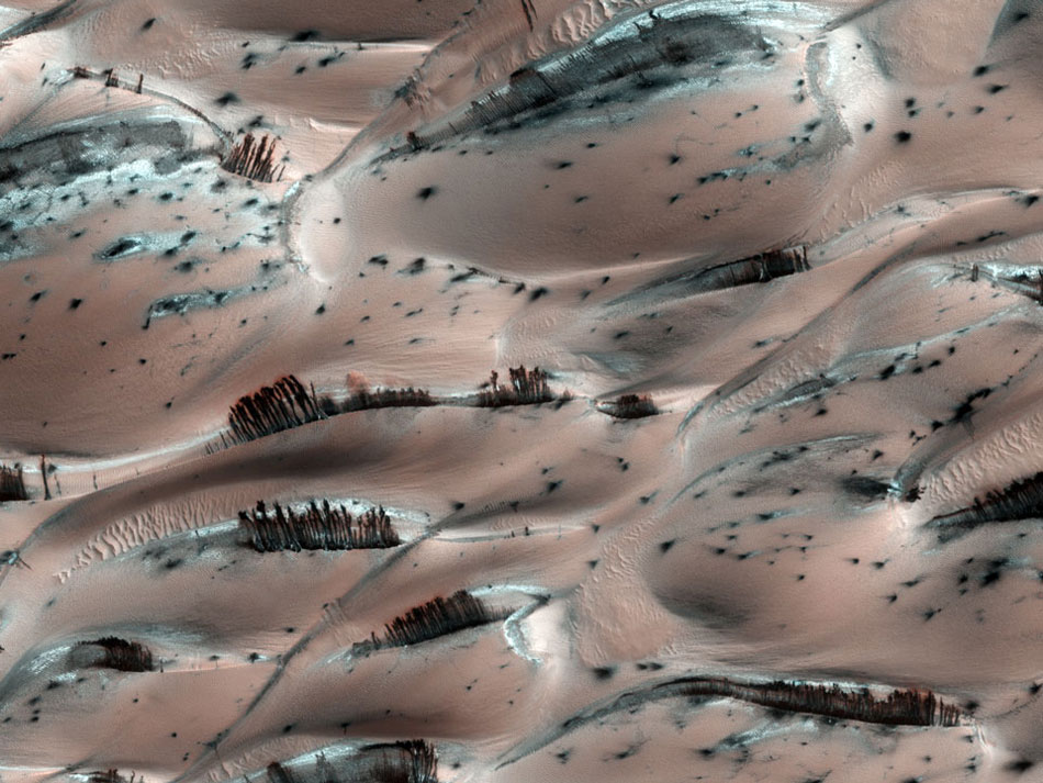Dark Sand Cascades on Mars. They might look like trees on Mars, but they're not. Groups of dark brown streaks have been photographed by the Mars Reconnaissance Orbiter on melting pinkish sand dunes covered with light frost. (Photo/ NASA)