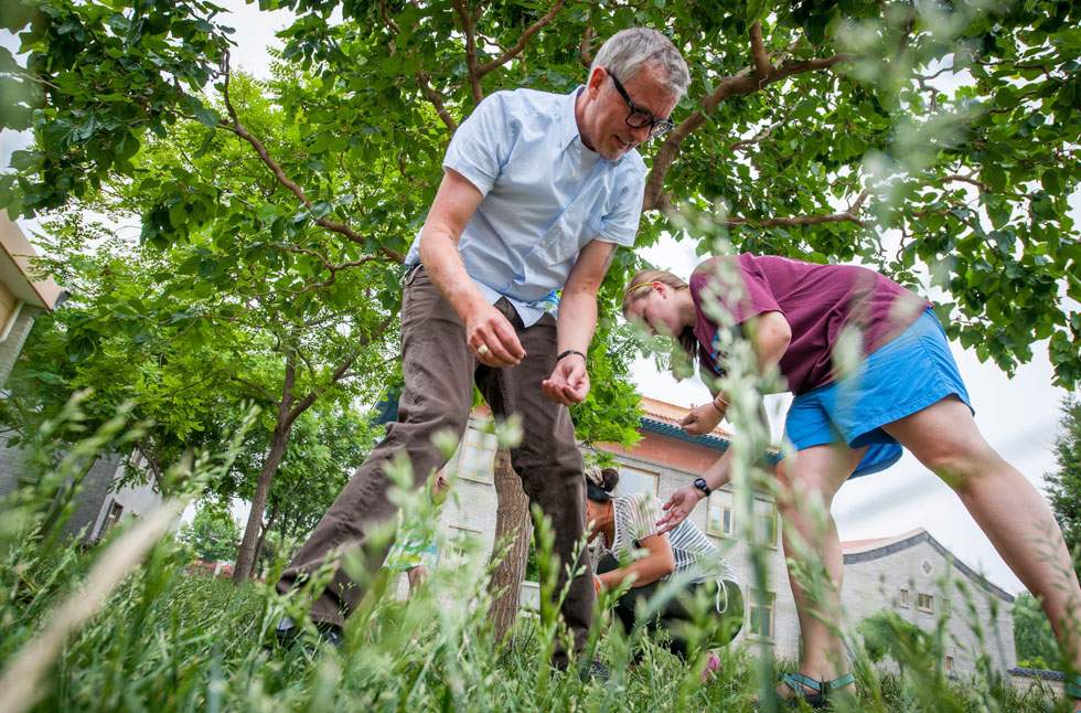 Tim Baker (L) and other voluntary workers pick mulberry  at the Shepherd's Field in Tianjin, north China, May 29, 2012.(Xinhua/Zhang Chaoqun)