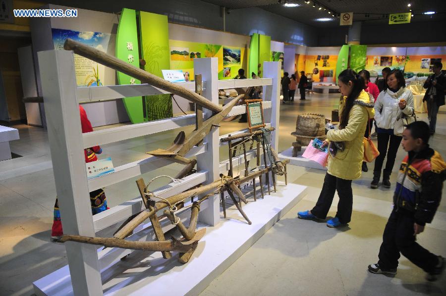 Visitors look at the farm tools displayed during an exhibition on farming culture of Zhuang ethnic group in Nanning, capital of southwest China's Guangxi Zhuang Autonomous Region, Dec. 1, 2012. (Xinhua/Huang Xiaobang)