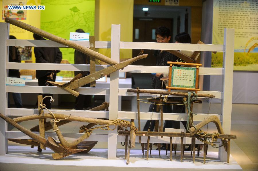 Visitors look at the farm tools displayed during an exhibition on farming culture of Zhuang ethnic group in Nanning, capital of southwest China's Guangxi Zhuang Autonomous Region, Dec. 1, 2012. (Xinhua/Huang Xiaobang)