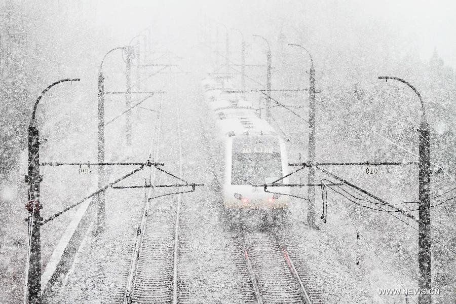 An urban rapid tram leaves Quanshui Station in Dalian, northeast China's Liaoning Province, Dec. 3, 2012. Snow fell in most parts of the northeast of China, and local area had a blizzard. Liaoning Province issued a continuous blizzard warning signal from early Monday morning, while issuing the first alert for the blizzard at Shenyang and other areas. (Xinhua) 