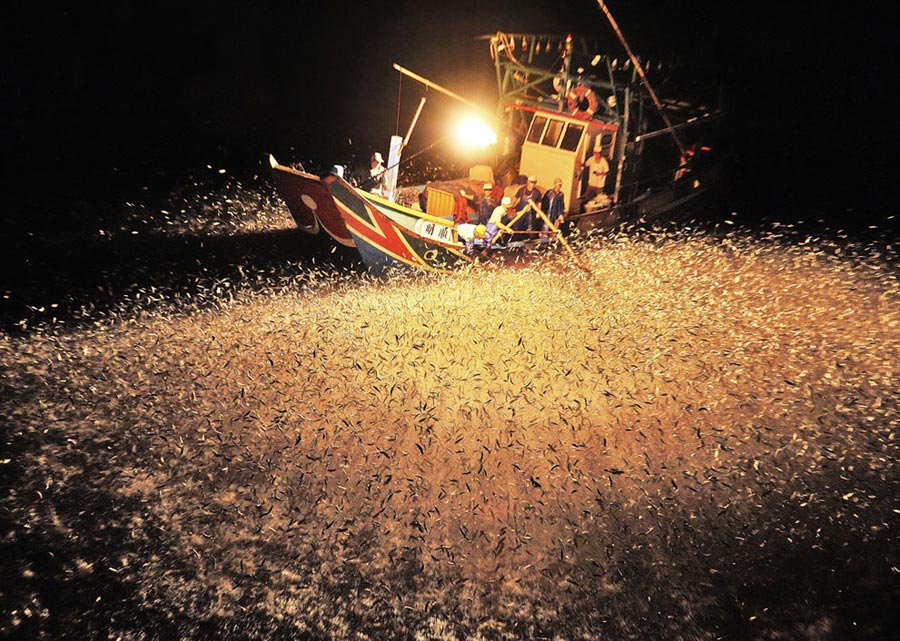 “Fishing”: Fishermen use the light of the fire to attract fishes around the boat and then catch them. (Photo/Xinhua)
