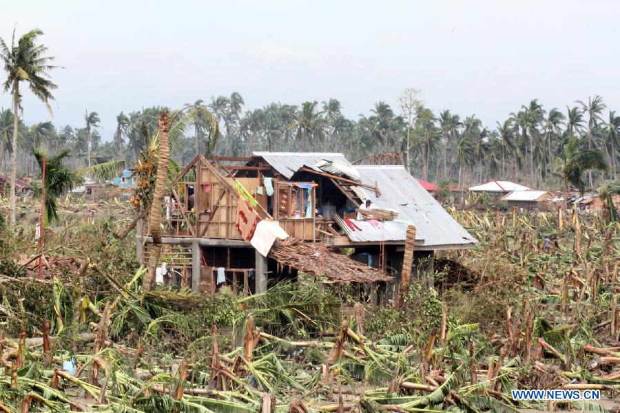 Photo taken on Dec. 5, 2012 shows damaged houses and crops after typhoon Bopha hit New Bataan town in southern province of Compostela Valley, the Philippines. The death toll from typhoon Bopha, locally known as Pablo, rises to 224, as Bopha continues to ravage several southern Philippine provinces. (Xinhua/JEMA)