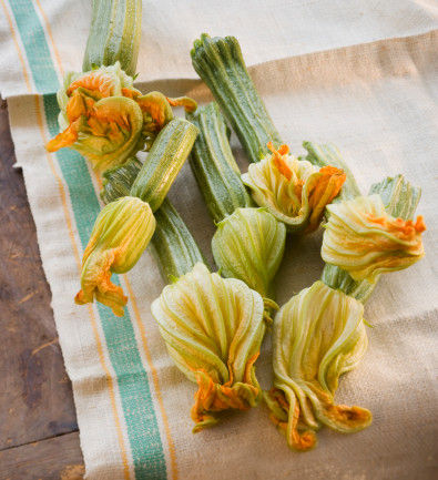 TOP10：Squash Flower, Italy (china.com.cn)