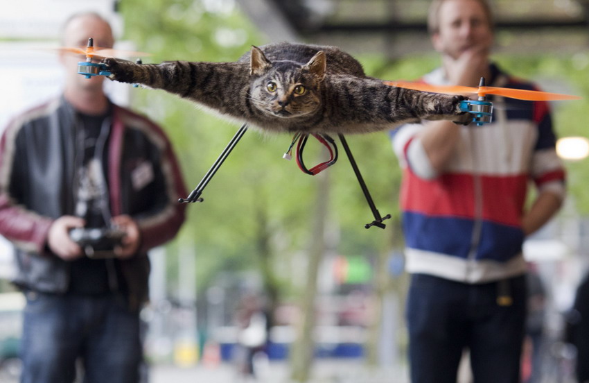 The Orville Copter made of a body of a dead cat by Dutch artist Bart Jansen flies in central Amsterdam during an arts festival on June 3, 2012. (Reuters/Cris Toala Olivares)