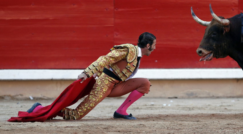 Matador Padilla knees down in front of a bull after the final round of bullfighting in San Fermin festival in Spain on July 14, 2012 (Reuters/Susana Vera)
