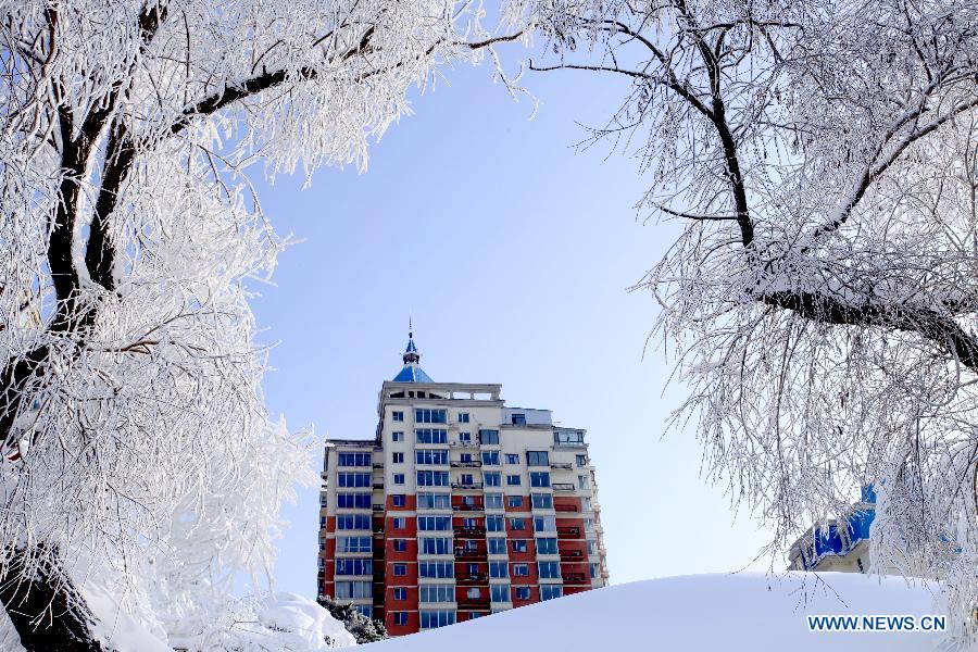 A building is seen between two trees which are glazed with rime at Riverside Park in Jilin City, northeast China's Jilin Province, Dec. 5, 2012. (Xinhua) 