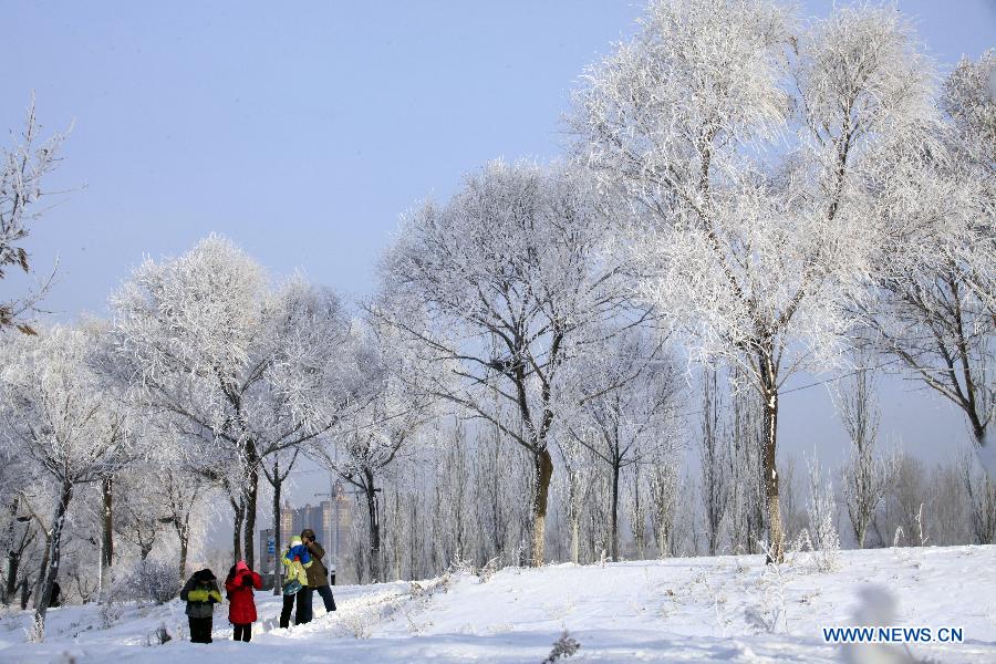 People take photos of the scenery of rime at Riverside Park in Jilin City, northeast China's Jilin Province, Dec. 5, 2012. (Xinhua) 
