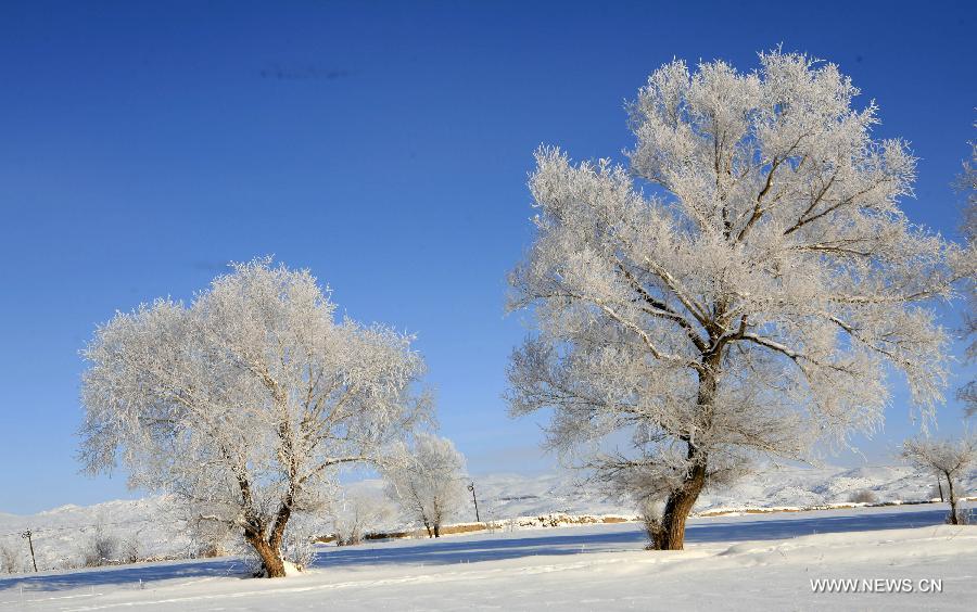 Photo taken on Dec. 6 shows the rime scenery at Xemirxek Town, Altay City, northwest China's Xinjiang Uygur Autonomous Region. Affected by the heavy snow and low temperature, Altay City received rime on Thursday. (Xinhua/Ye Erjiang) 