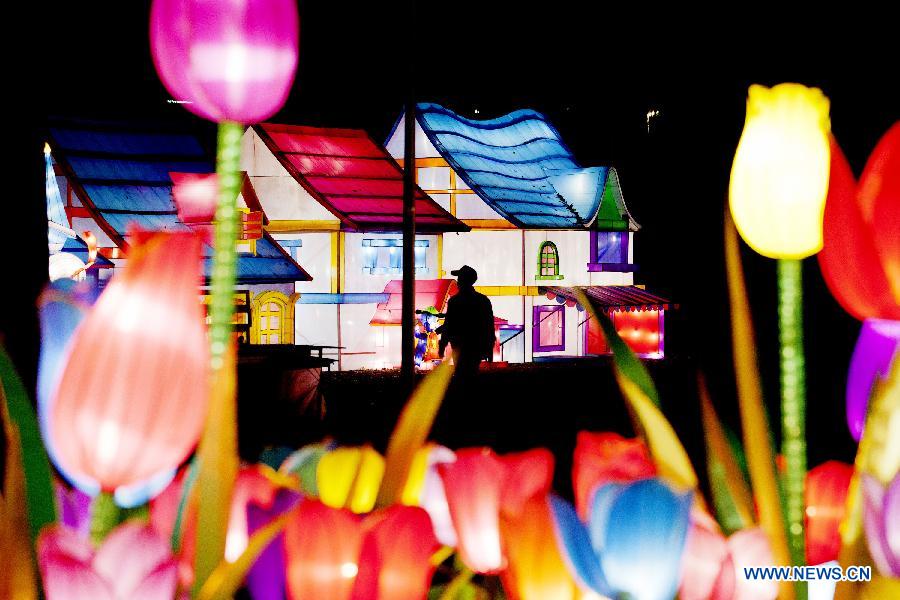 A visitor enjoys the Chinese Light Festival in Rotterdam on Dec. 6, 2012. The festival, including 35 illuminated figures, will last to February 14th of next year.(Xinhua/Rick Nederstigt)