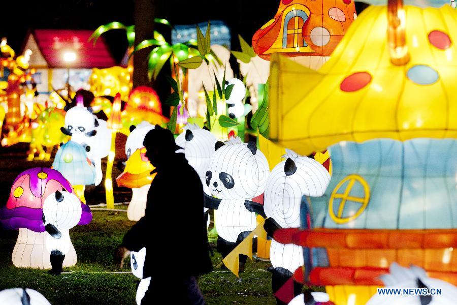 A visitor enjoys the Chinese Light Festival in Rotterdam on Dec. 6, 2012. The festival, including 35 illuminated figures, will last to February 14th of next year.(Xinhua/Rick Nederstigt)