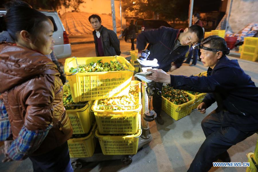 Purchasers weigh cumquat at a market in Rong'an County of Liuzhou City, south China's Guangxi Zhuang Autonomous Region, Dec. 9, 2012. Cumquat covering an area of over 80,000 mu (about 5333.3 hectares) in Rong'an County went to market recently. (Xinhua/Tan Kaixing)