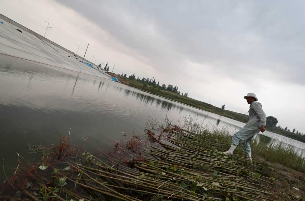 Mase Hiroki soaks saplings to be planted in a reservoir in Engebei, Ordos, north China's Inner Mongolia Autonomous Region, Aug. 25, 2012.(Xinhua/Xie Xiudong)