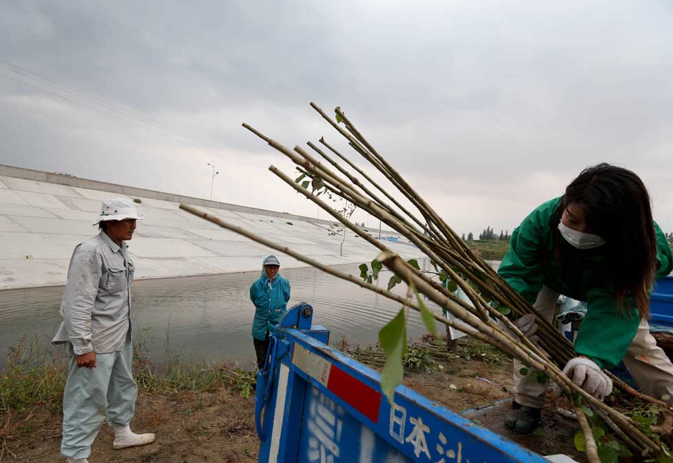 Mase Hiroki (L) and his fiancee Tanabe Mihoko (R), who is also a desert control volunteer, transport saplings in Engebei, Ordos, north China's Inner Mongolia Autonomous Region, Aug. 25, 2012.(Xinhua/Xie Xiudong)