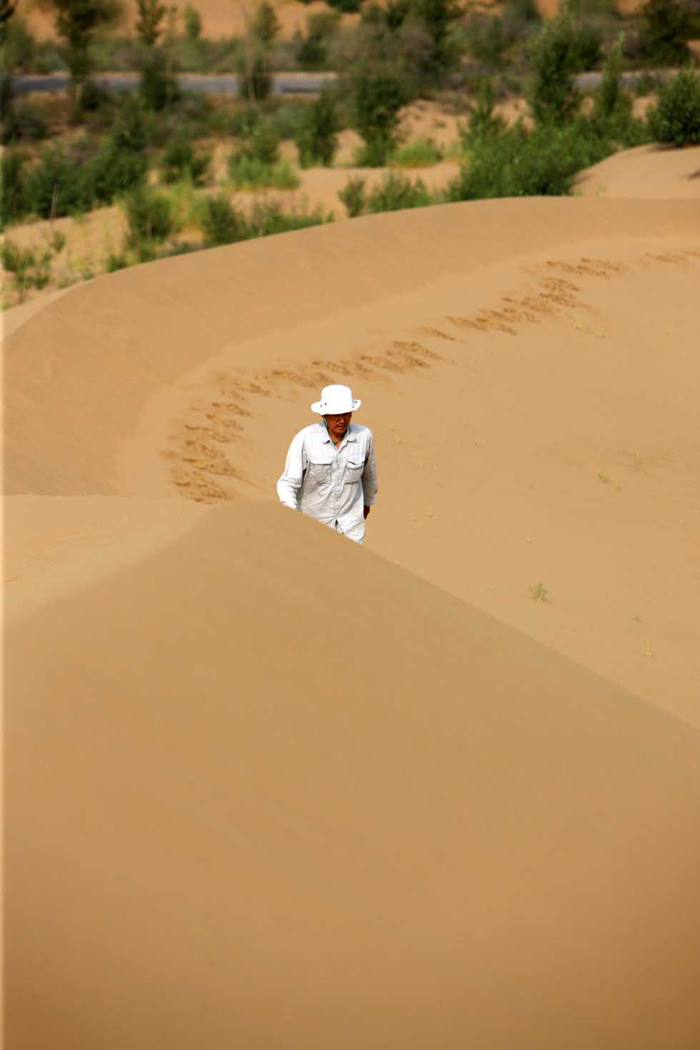 Mase Hiroki walks to check the sands situation in Engebei, Ordos, Inorth China's Inner Mongolia Autonomous Region, Aug. 26, 2012.(Xinhua/Xie Xiudong)