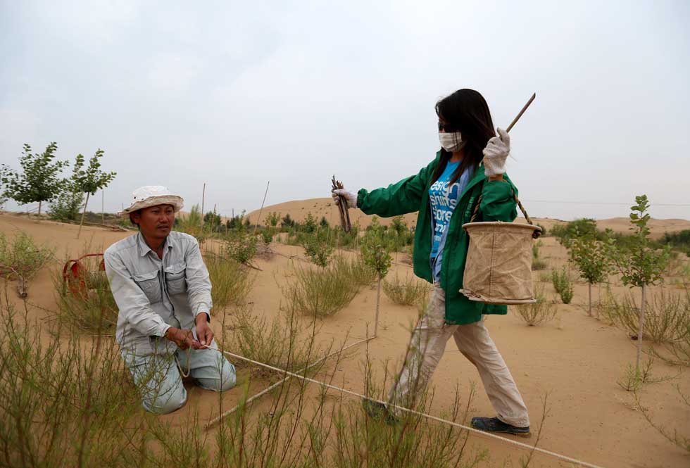 Mase Hiroki (L) and his fiancee Tanabe Mihoko, who is also a desert control volunteer, prepare an area for planting trees in Engebei, Ordos, north China's Inner Mongolia Autonomous Region, Aug. 25, 2012.(Xinhua/Xie Xiudong)