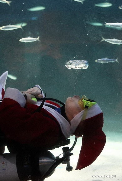 A South Korean diver wearing a Santa Claus costume greets visitors as he swims with sardines at the Coex Aquarium in Seoul, South Korea, Dec. 11, 2012. (Xinhua/Park Jin-hee)  