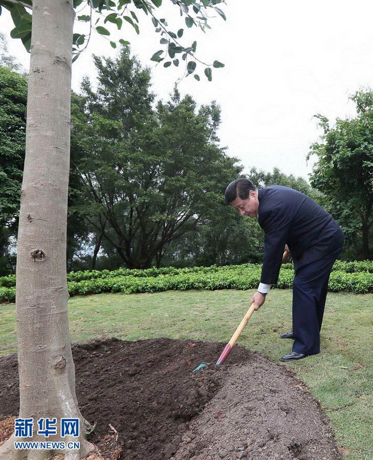 Photo released on Dec. 11, 2012 shows Xi Jinping, general secretary of the Communist Party of China (CPC) Central Committee and chairman of the CPC Central Military Commission (CMC), plants a tree in Lianhuashan Park in Shenzhen, south China's Guangdong Province. Xi made an inspection tour in Guangdong from Dec. 7 to Dec. 11. (Xinhua/Lan Hongguang)