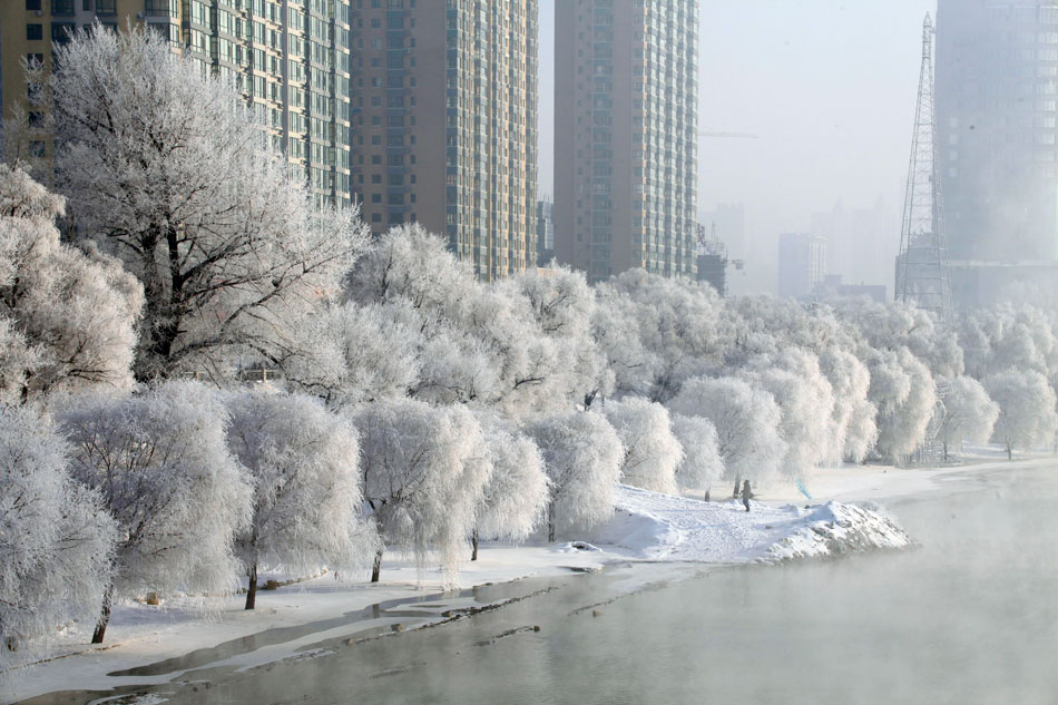 Photo taken on Dec. 12, 2012 shows the scenery of rime in Jilin City, northeast China's Jilin Province. (Photo/Xinhua)