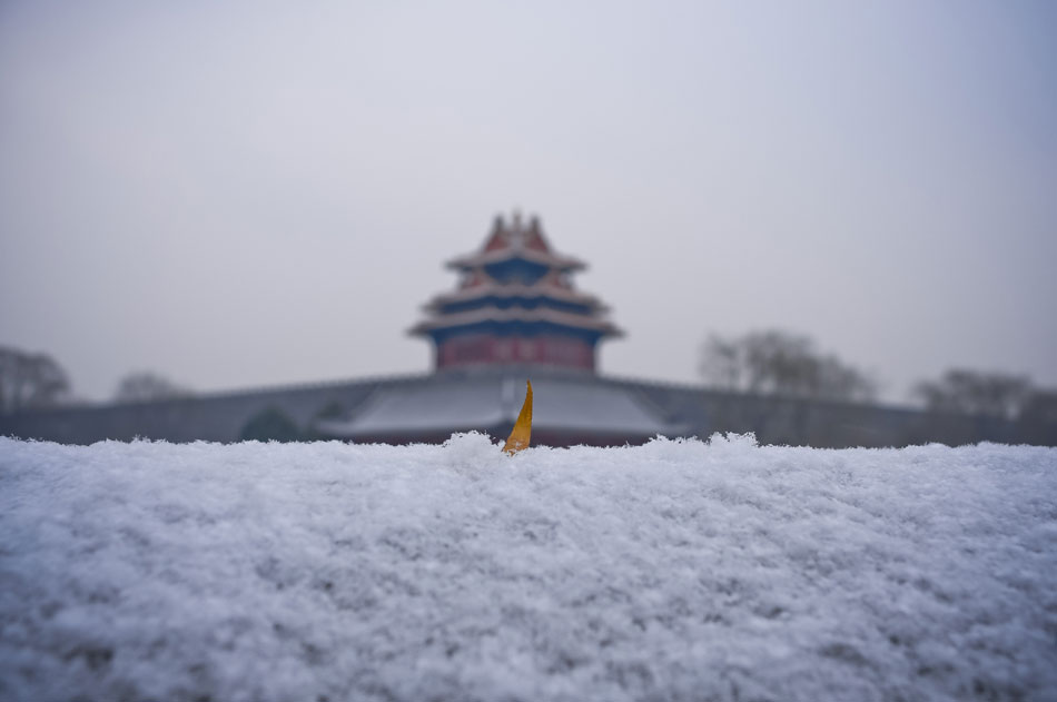 The photo taken on Dec. 12, 2012 shows the Forbidden City in snow in Beijing, capital of China. A snow hit the city on Wednesday. (Photo/Xinhua)