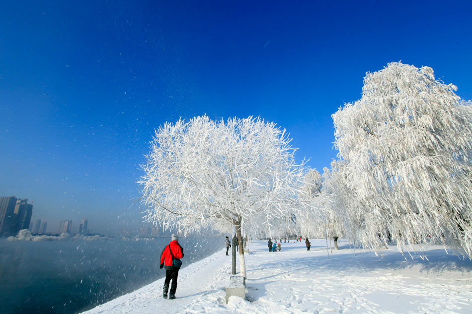 Photo taken on Dec. 12, 2012 shows the scenery of rime in Jilin City, northeast China's Jilin Province. (Photo/Xinhua)