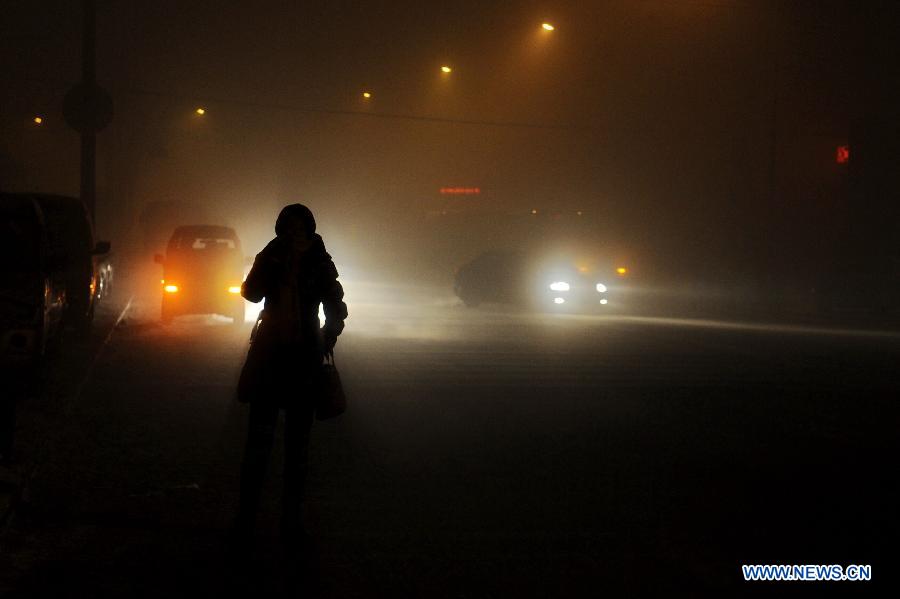 A citizen waits for a bus in fog in Changchun, capital of northeast China's Jilin Province, Dec. 14, 2012. Heavy fog covered some parts of Changchun on Friday.(Xinhua/Zhang Nan)