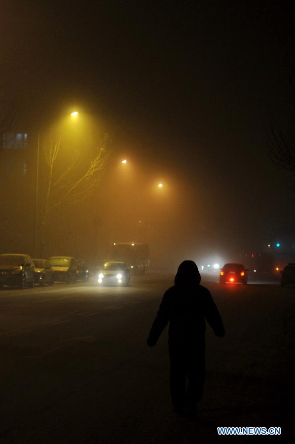 Cars turn on fog lights in Changchun, capital of northeast China's Jilin Province, Dec. 14, 2012. Heavy fog covered some parts of Changchun on Friday.(Xinhua/Zhang Nan)