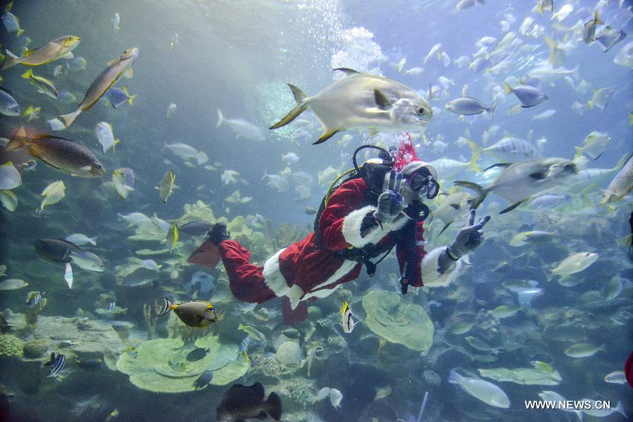 A diver wearing a Santa Claus costume flashes "victory" signs as he swims with fishes at an aquarium in Kuala Lumpur, Malaysia, Dec. 14, 2012. (Xinhua/Chong Voon Chung)  