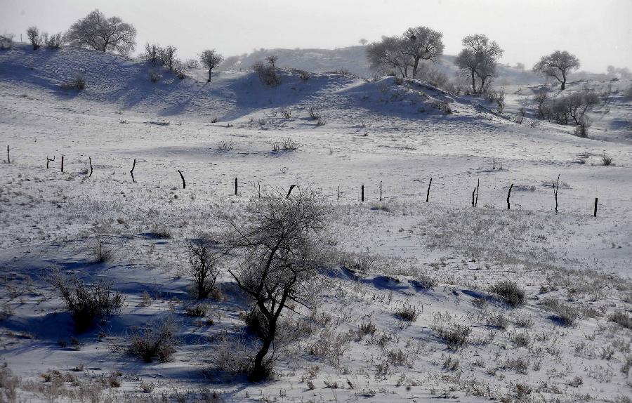 Photo taken on Dec. 17, 2012 shows the scenery of rime in Zhenglan Banner of north China's Inner Mongolia Autonomous Region. (Xinhua/Ren Junchuan)