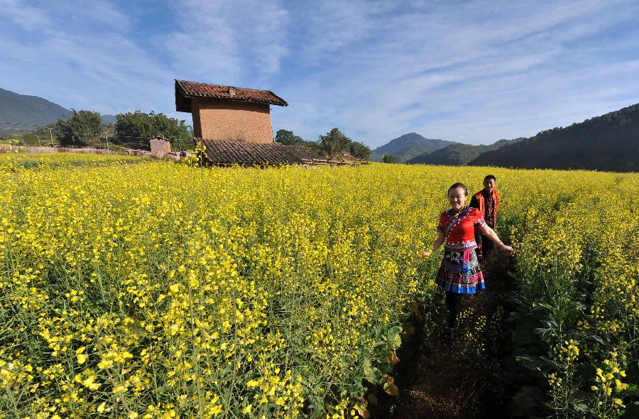 People from ethnic group are seen among the rape flowers in Zhentai Town of Yi-Hani-Lahu Autonomous County of Zhenyuan, southwest China's Yunnan Province, Dec. 17, 2012. (Xinhua/Lin Yiguang) 