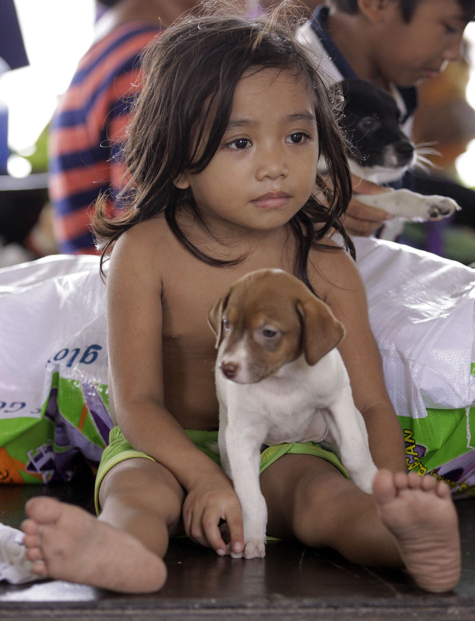 The four-year-old Alexis holds her little dog sitting in the flood evacuation center in Taytay village, eastern Manila, Philippines on Aug. 10, 2012.(Xinhua/AP)
