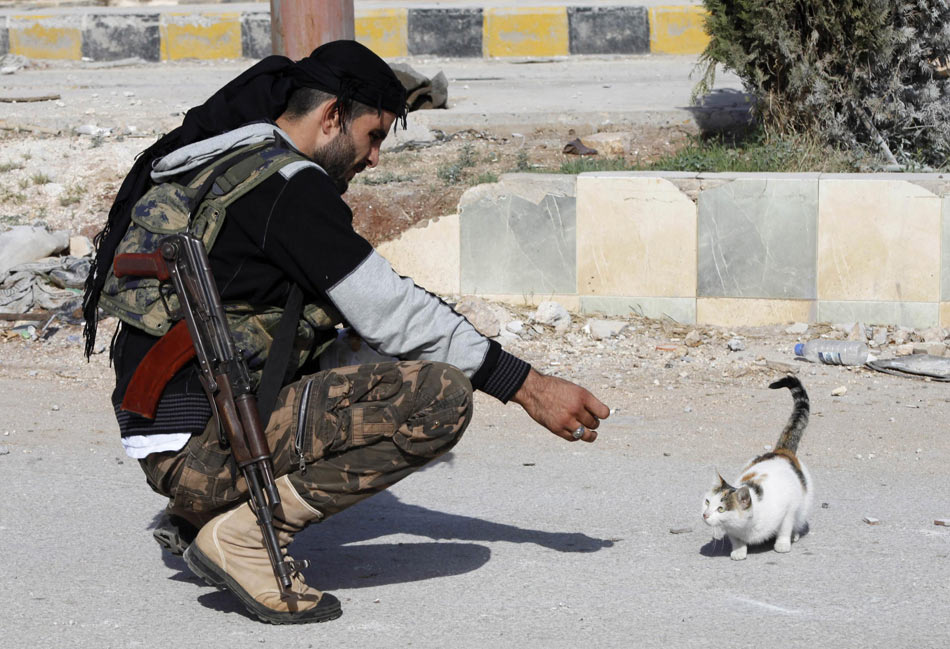 A Free Syrian Army fighter plays with a cat in Khan al-Assal area on Nov. 10, 2012.(Xinhua/Reuters)