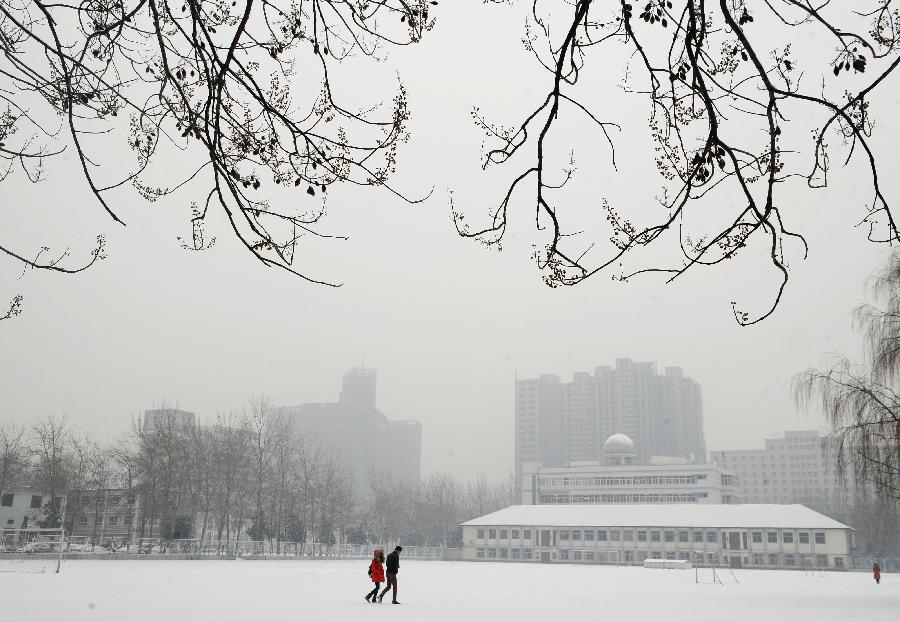 People take a walk in the snow in Taiyuan, capital of north China's Shanxi Province, Dec. 20, 2012. Most parts of Shanxi witnessed a heavy snow on Thursday. (Xinhua/Yan Yan) 