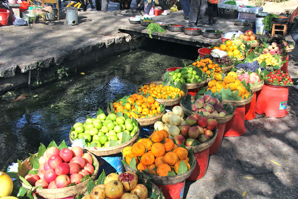 With mild weather year-round, Shuhe Ancient Town produces a rich variety of fruits. (CRI Photo)