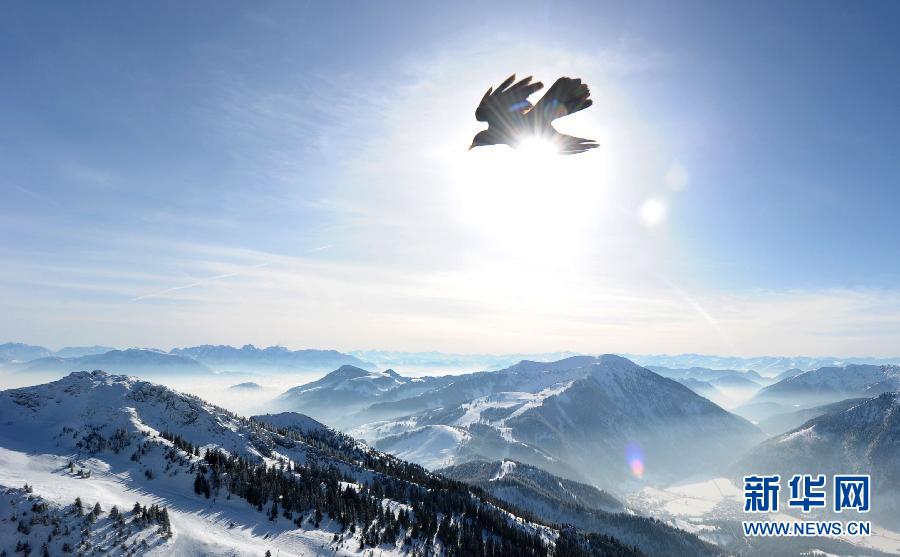 A bird flies over the Alp Mountains, in Wendelstein Mountain, southern Germany on Feb. 8, 2012. (Xinhua/AFP Photo)
