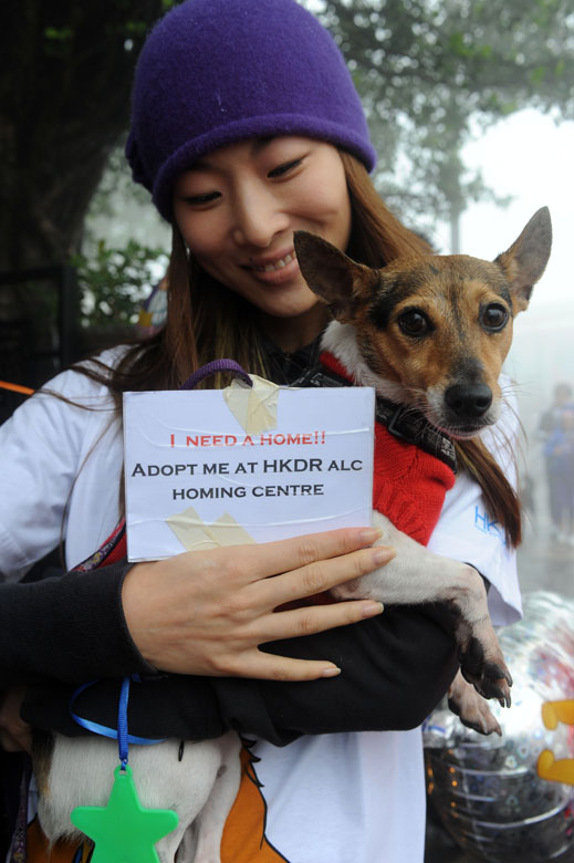 “Peak to Fong” is held by Hong Kong Dog Rescue and Disney World on Nov. 25, 2012. They are raising a campaign to care for the homeless dogs. (Xinhua/Zhao Siyu)