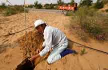 Helping China with desert control 