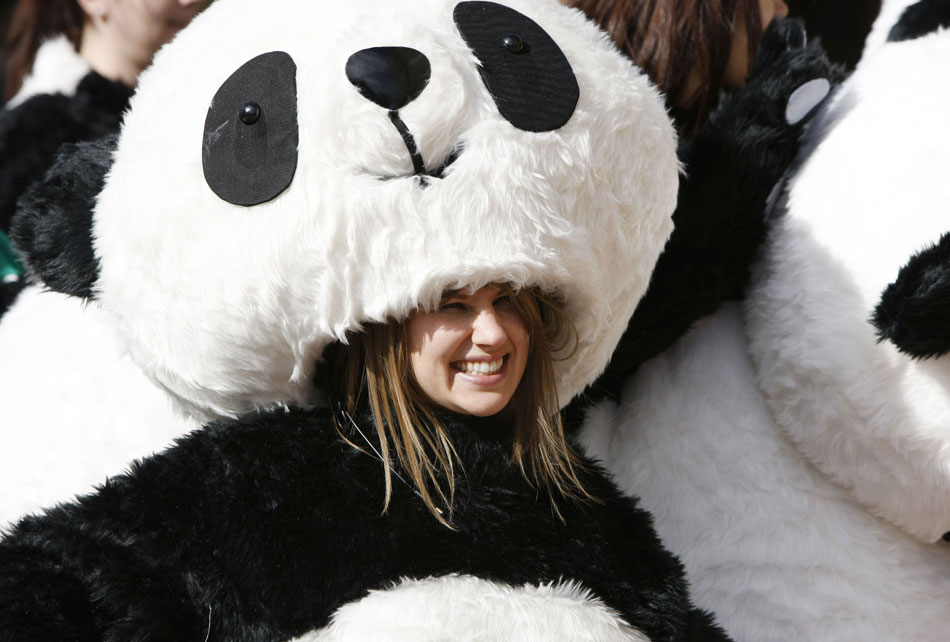 A participant dressed as giant panda poses for pictures during the North America semifinal of the Chengdu Pambassador 2012, a global initiative to recruit three giant panda conservation ambassadors, in Washington D.C., capital of the United States, Oct. 16, 2012. (Fang Zhe/Xinhua)