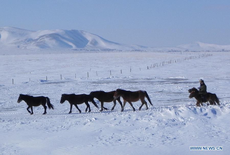 Two herders are seen with their livestock on a snow-covered pasture in Xilingol, north China's Inner Mongolia Autonomous Region, Dec. 26, 2012. Recent snowstorms that struck Inner Mongolia have affected more than two million people and caused 600 million yuan (96.23 million U.S. dollars) worth of direct economic losses. (Xinhua/Li Yunping) 
