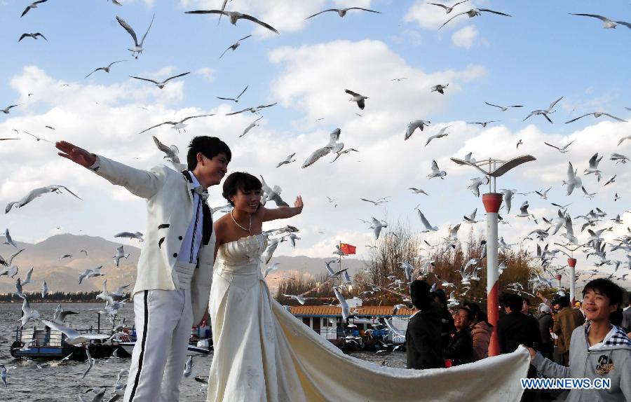 A newlywed couple pose for photos with black-headed gulls beside the Dianchi Lake in Kunming, capital of southwest China's Yunnan Province, Dec. 26, 2012. More than 35,000 black-headed gulls have come to Kunming for winter this year. (Xinhua/Xu Yuchang)