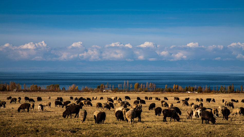 Photo taken on Oct. 26 shows the autumn scenery of Issyk Kul Lake in Kyrghyzstan. Issyk Kul is the second largest mountain lake in the world. (Xinhua/Li Gang)